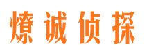 隆子市场调查